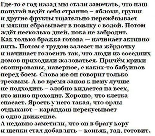 Алкопост на вечер этой пятницы