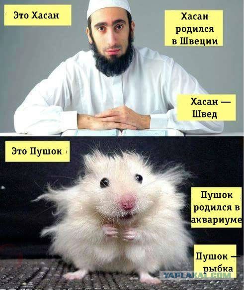 Мужчина в Одинцово выгнал приезжих подростков с футбольной площадки, якобы потому что они не местные