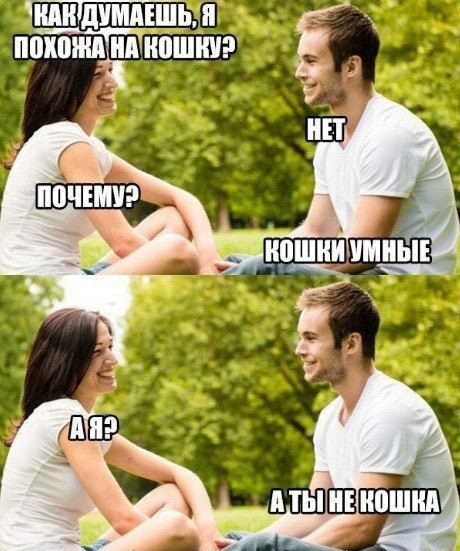 Применим физику в постели или белка и стрелка. Картинки