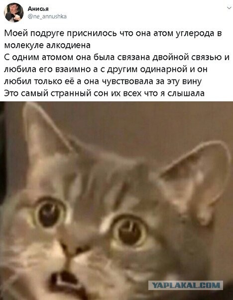 Бредзона 02.05.20