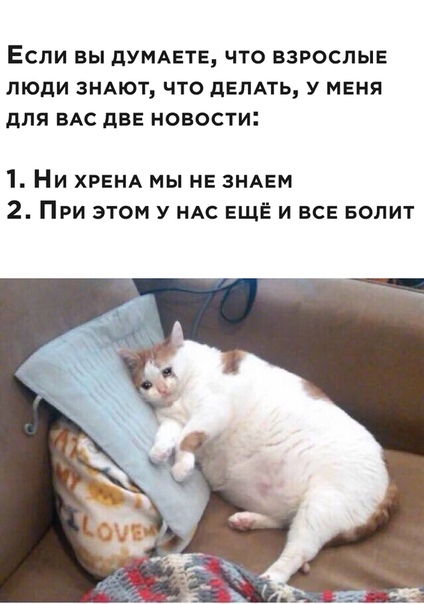 Немного картинок для настроения 04.07.20