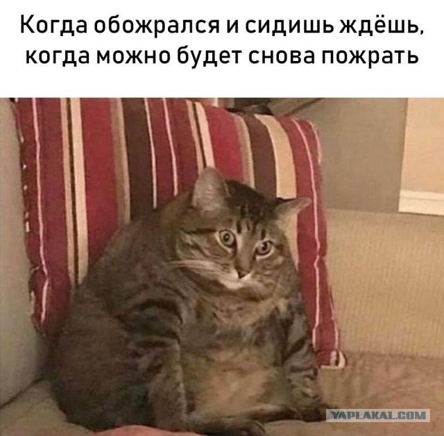 Платон для легковушек. Рывок или прорыв?