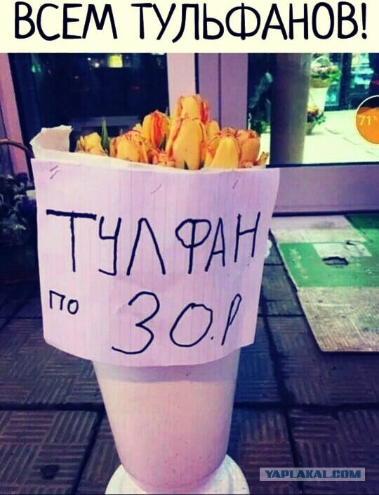 Всё равно хорошо