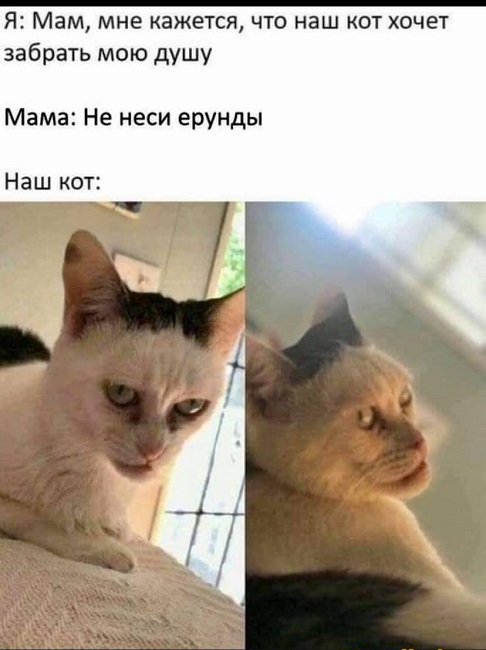Так себе картинки 11.09.21
