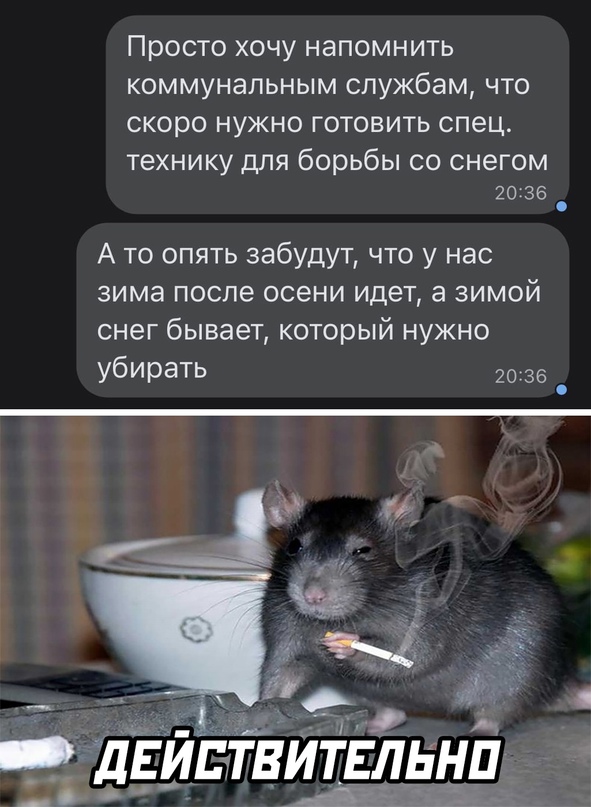Картинки и мемы для настроения 03.11.2021