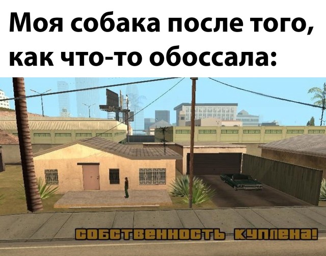 Так себе картинки 04.12.21