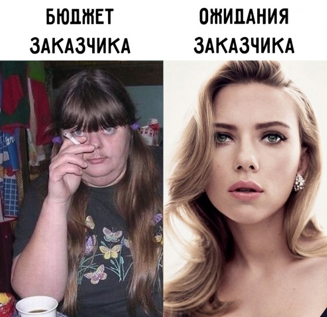 "Купил коту игрушку" и другие картинки