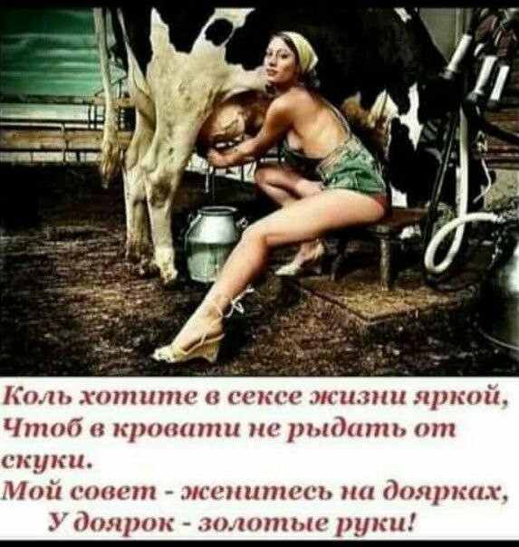 Вывести войска из Грузии, Украины, Молдовы – ответные условия Макфолла Путину