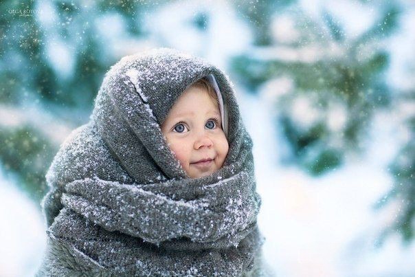 Картинки так себе 26.12