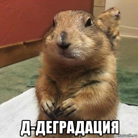 Какой у тебя телефон?