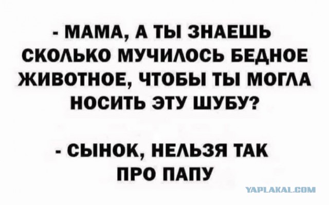 50 оттенков серого Vol.5 . Или самосвал баянов