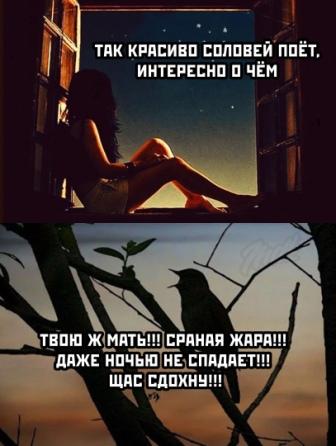 Так себе картинки 08.05.22