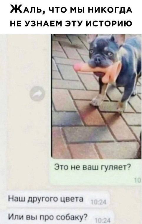 40 пятничных картинок разных 20.05.2022