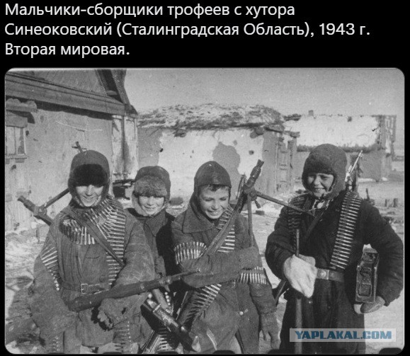 Картинки разные 13.07.2022