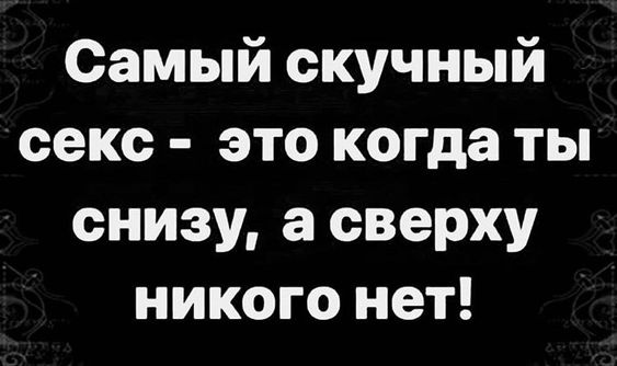 Весёлый полтишок 11.08.22