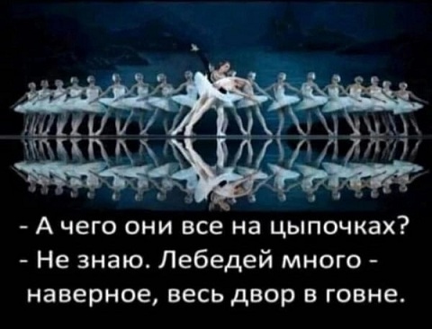 Почему минтай дорогой