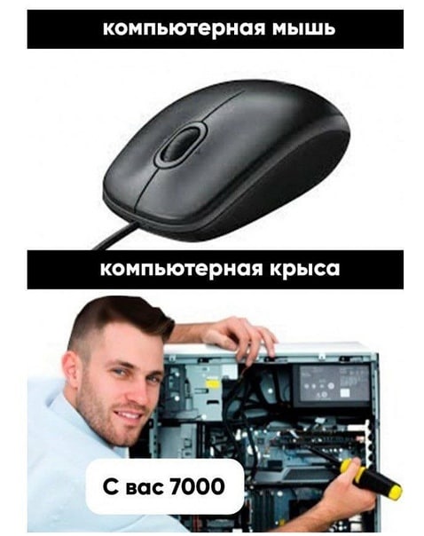 Немного мемчиков. Для взрослых. Часть 21