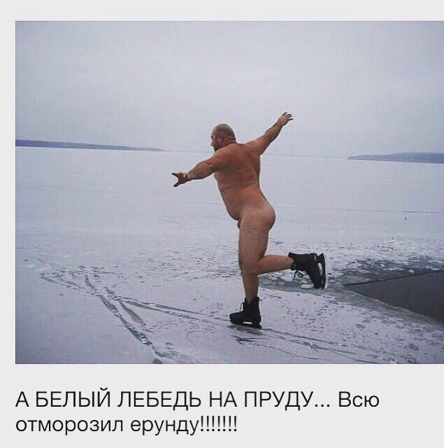 Юмор в картинках и без 22.12.2022