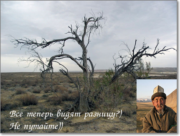 Смотри, Кутузов, не перепутай...