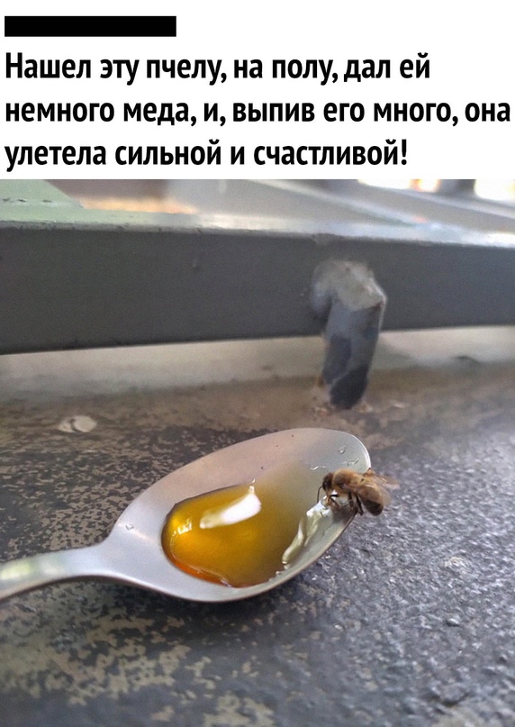 Картинки и мемы для настроения - 131