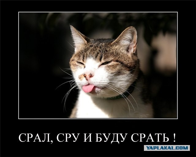Впечатлительным не смотреть