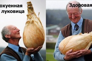 Всего понемногу. От 31.07.23