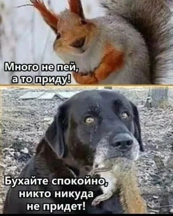 Отряд быстрого деградирования