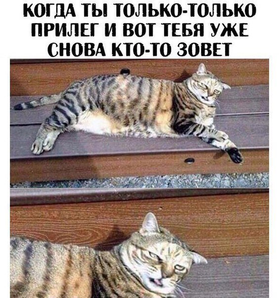 Куча мала баянистых картинок