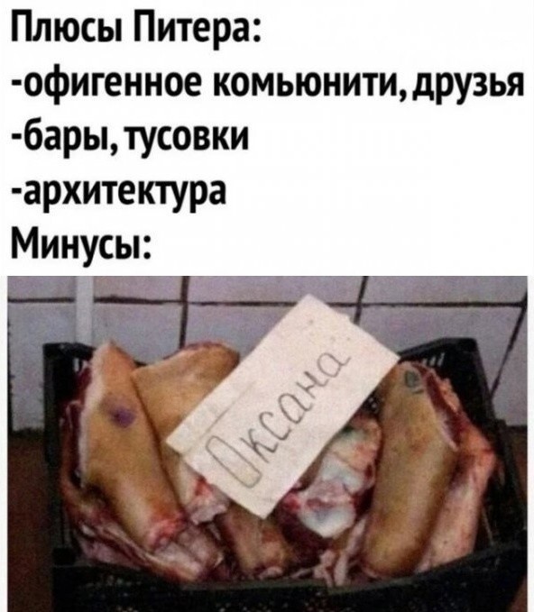 Под Петербургом нашли сумку с частями тела