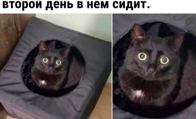 Завалялось тут случайно немного забавных картинок