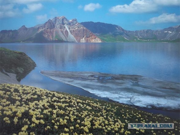 Товарищ Ким Чен Ын