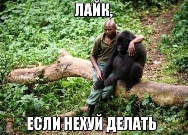 Всего понемногу. От 31.07