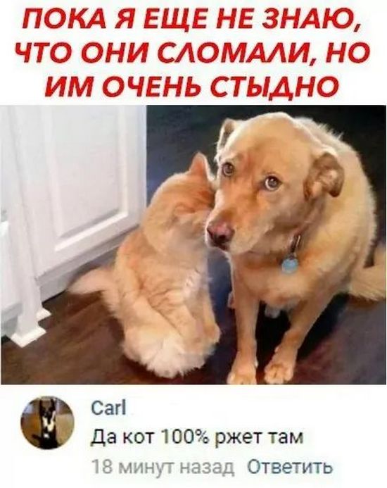 Завалялось тут случайно немного забавных картинок