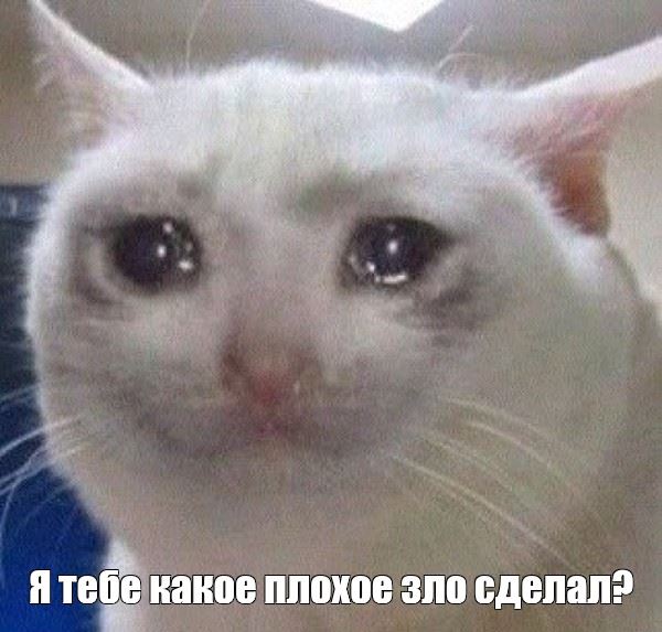 Давайте опубликуем