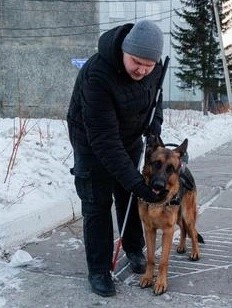 В Красноярске овчарка 2,5 часа слушала Чайковского на концерте
