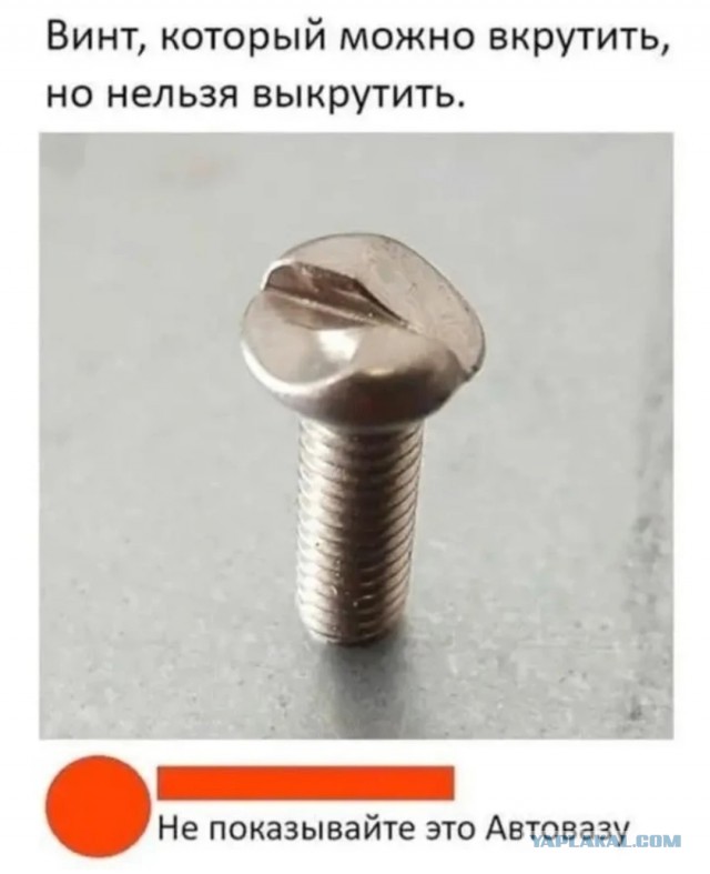 Так себе картинки 24.09.25