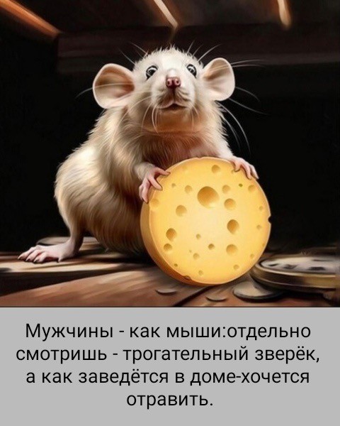 Вторника картинки
