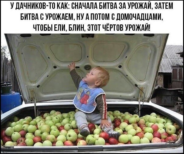 Субботние картинки