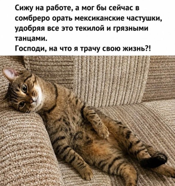 Картиночки, баянчики 25 июля