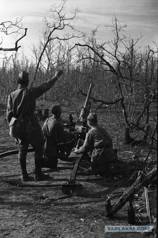 Великая Отечественная в фотографиях - 25