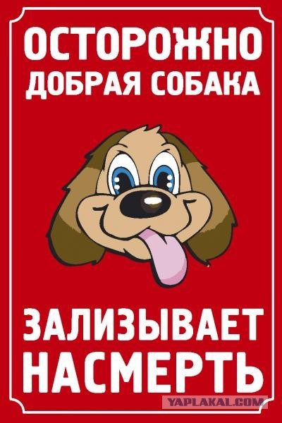 Булочка!
