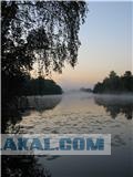 Лето. Жара. Июль.