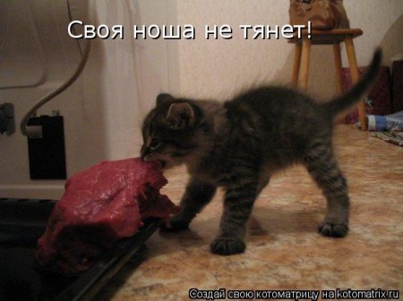Подборка прикольных фото.