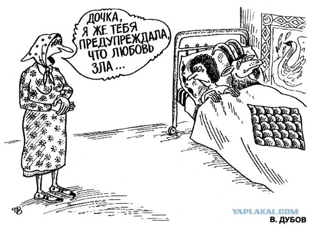 Позитивные картинки и комментарии.
