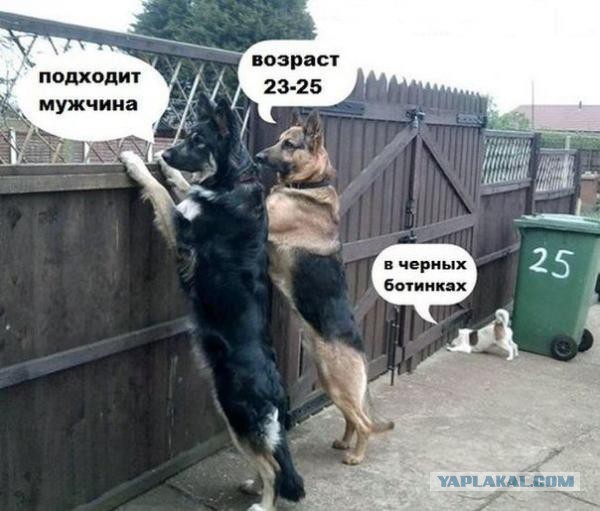 Позитивные картинки