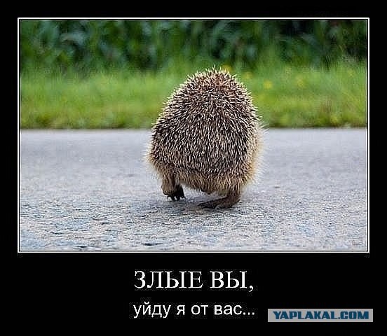 Импровизация, бачата