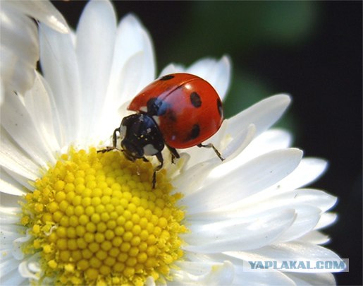 Немного о 90-х