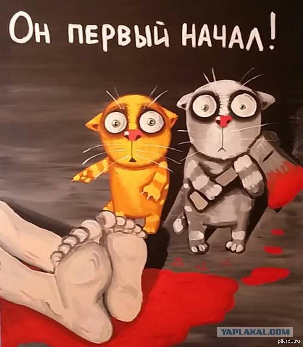 Русская кошка напала на пиндосов