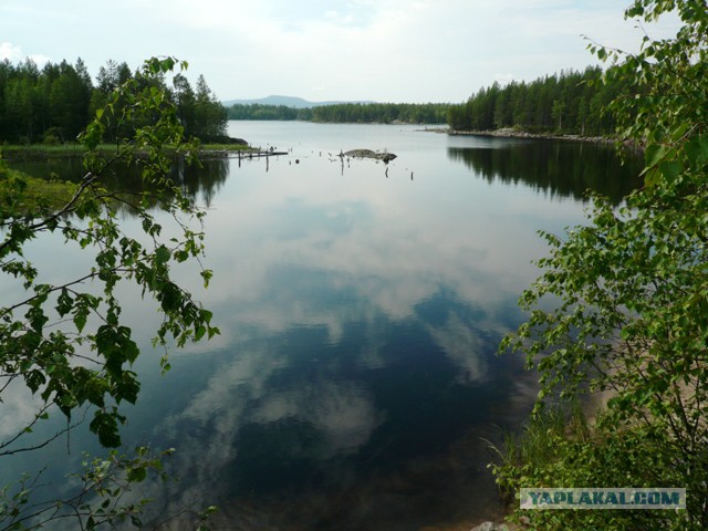 Две недели на Иовском водохранилище. Соколозеро.