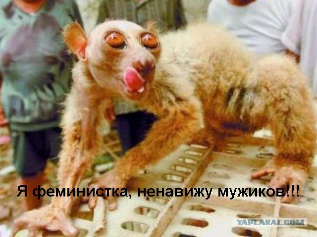 Ликбез по Феминисткам